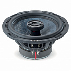 Focal C 165SF  2026 